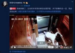 谁爆料家暴视频大全集,家暴视频大全集深度解析 第3张 谁爆料家暴视频大全集,家暴视频大全集深度解析 第3张