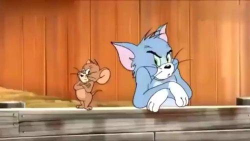 猫和老鼠天官爆料视频 第2张 猫和老鼠天官爆料视频 第2张